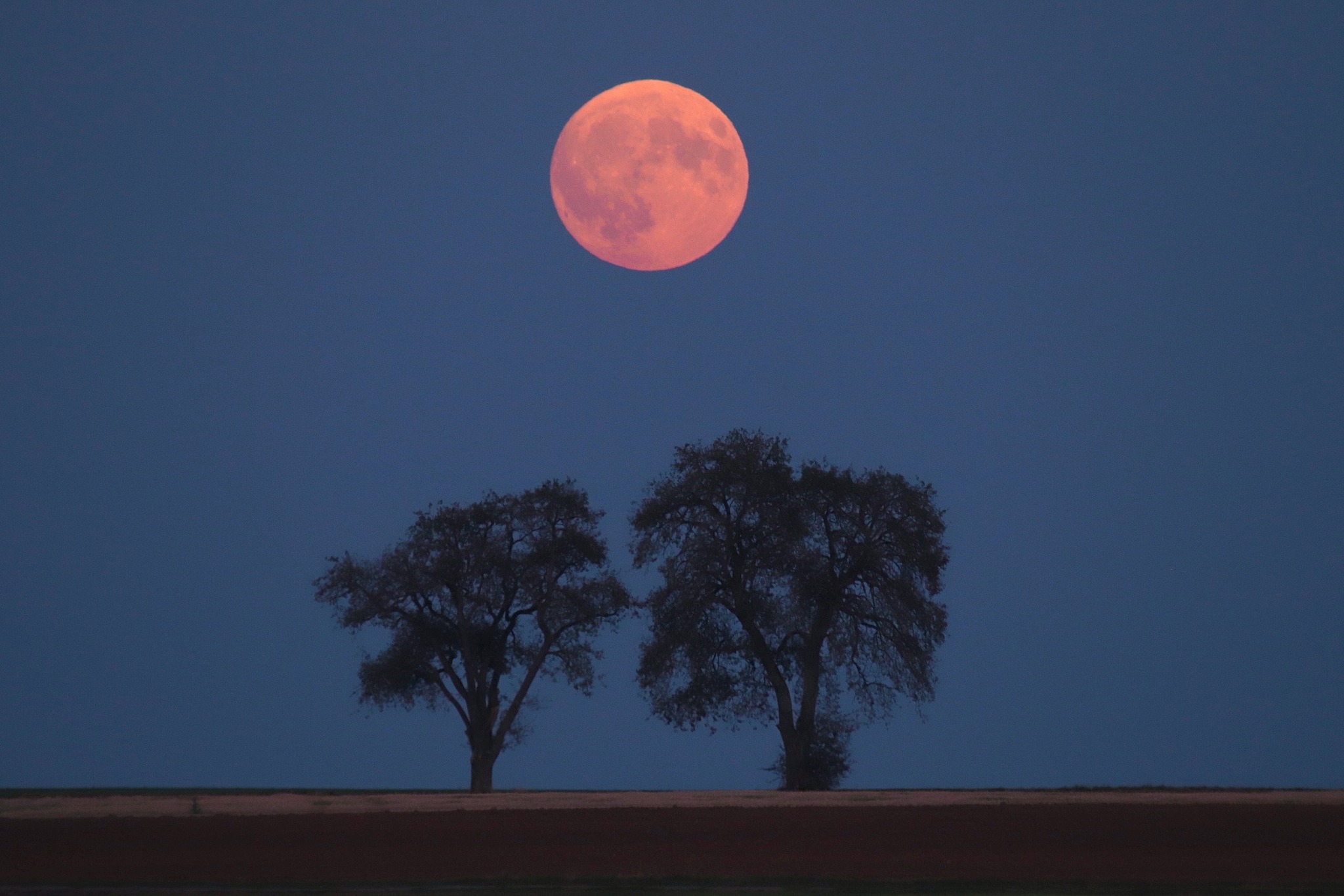 Ya Está Aquí la Primera Luna Llena de la Primavera: La Luna Rosa de Abril